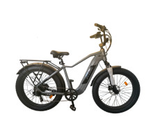Електровелосипед E-Titan Aventure 26.4" 19" Сірий-Металік