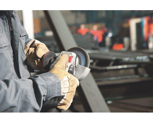 Болгарка Metabo WEV 10-125 Quick (600388000)
