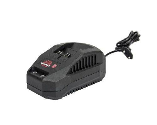 Зарядний пристрій для акумуляторів Vitals Master LSL 1824P SmartLine