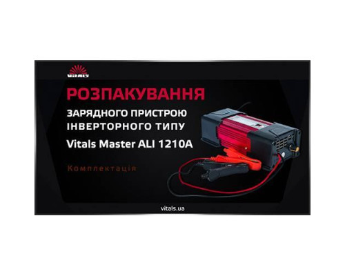 Импульсное зарядное устройство Master ALI 1210A