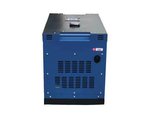 Генератор дизельний PROFI-TEC DGS12 Power MAX 12кВА/9кВт, 220V
